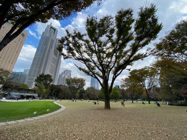 新宿中央公園の写真