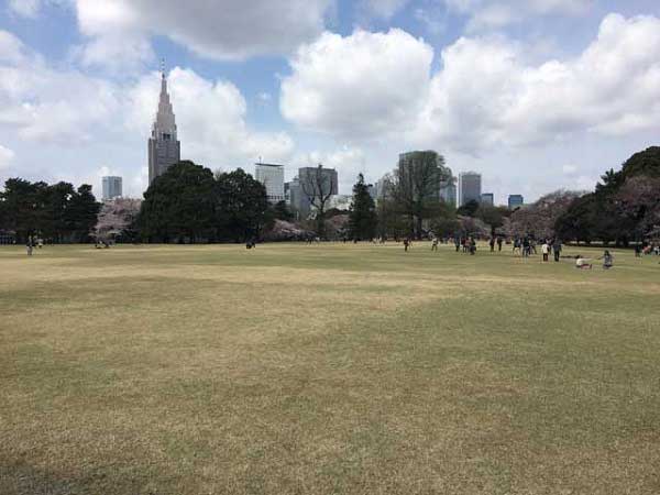 新宿御苑の画像